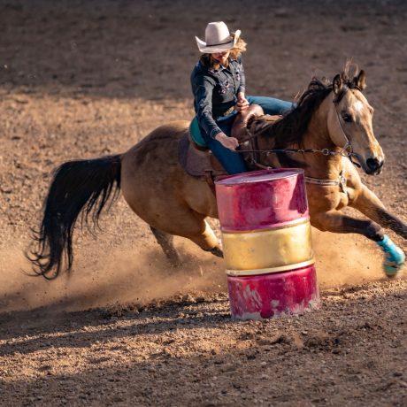 Horse running around a barrel at a rodeo